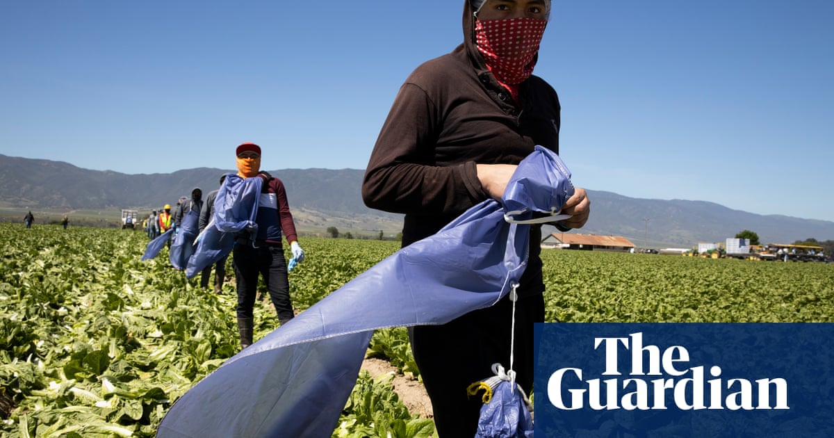 ‘Mass deportations would disrupt the food chain’: Californians warn of ...