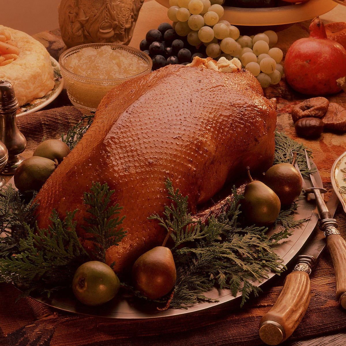 Tears Heartbreak And A Missing Goose My Darkest Winter Solstice Of All Christmas The Guardian