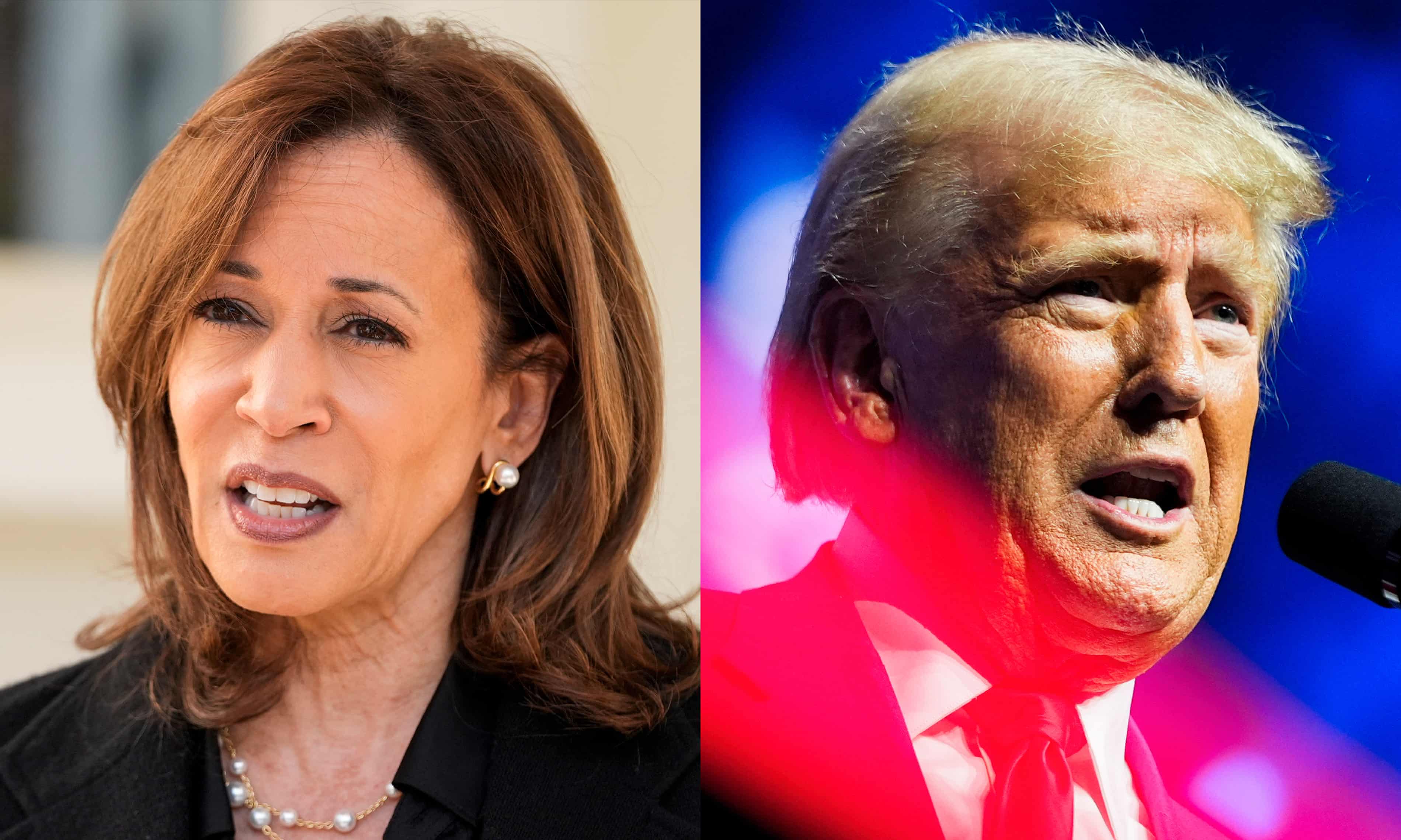 Democrats panicking for no reason, pollsters say – US race nail-bitingly close (theguardian.com)