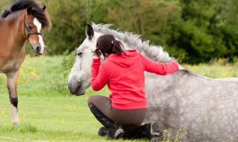 Horses are special – and women and girls love riding.