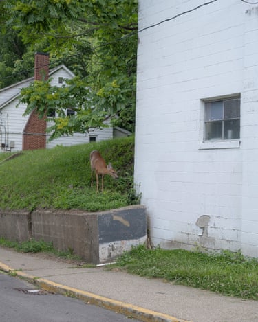 West Washington StreetAthens sits among the wooded hills of southeastern Ohio, part of the Appalachian region long shaped by extractive industries and cycles of economic change. The landscape remains central to both the identity and isolation of the region.