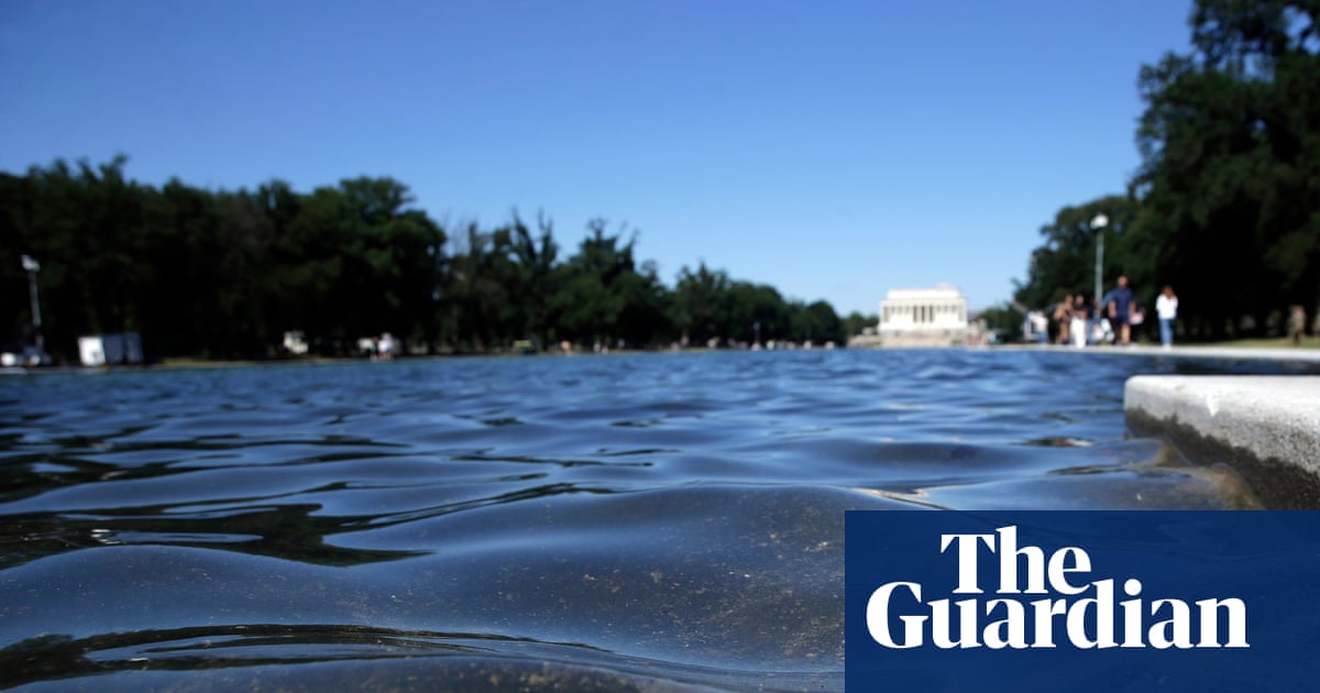 Trump forced to drain the reflecting pool swamp | Politics Weekly America