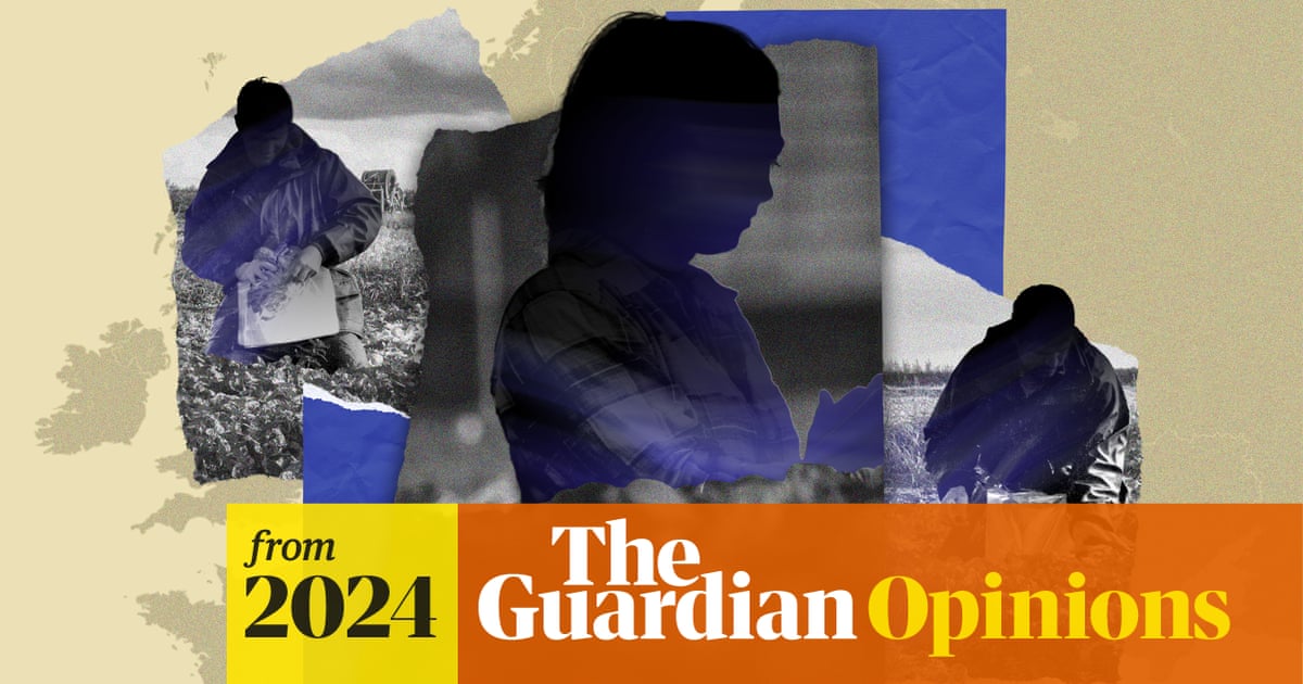 Undercover as a farm worker in Germany: ‘My hands are numb. No one knows when the shift will end’ | Saša Uhlová