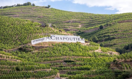 Chapoutier Crozes-Hermitage vineyard.