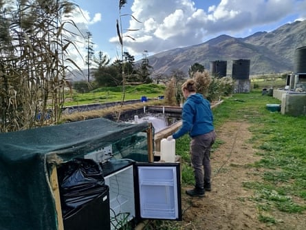 A man stands over equipment next to a filtration site in a rural setting.