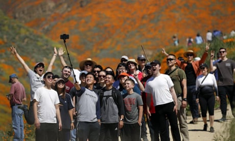 A crowd poses for a selfie among the wild poppies blooming in Walker Canyon in Lake Elsinore.