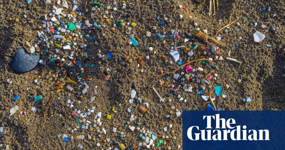 Study finds microplastic contamination in 99% of seafood samples | US news Study finds microplastic contamination in 99% of seafood samples | US news