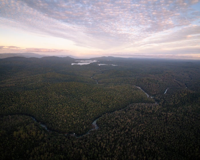 ‘Worldwide legacy’: almost $20m raised to protect majestic tract of land in far north Queensland