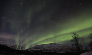 Polar Park aurora, Norway