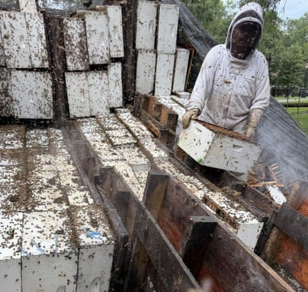 Queen Bee Supply helping with the clean-up.