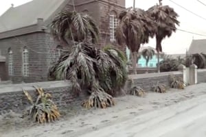 Volcanic ash covers St Vincent – in pictures 9 Ash covers palm trees and a church.