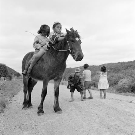 children on a horse in 1963