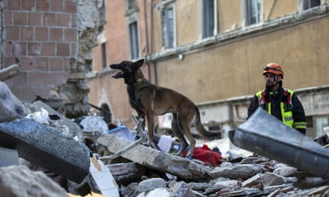A dog inspects a collapsed building during a search and rescue operation in Amatrice