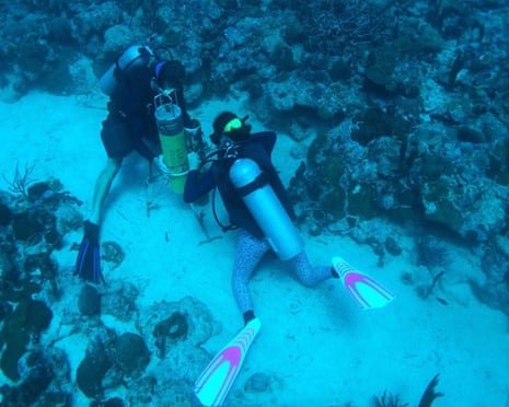 Researchers deploy a hydrophone on a coral reef shelf edge habitat called Weinberg Reef