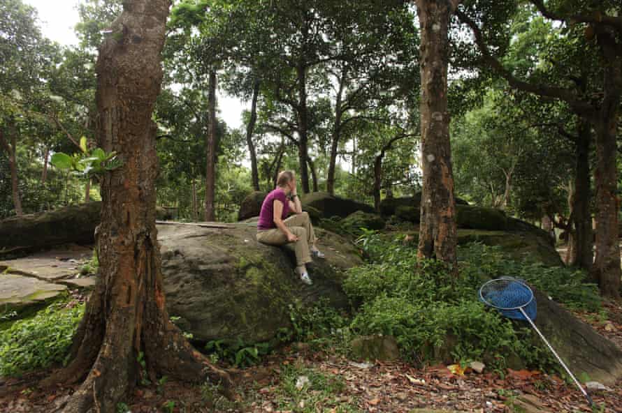 Lisa Jones-Engel in Cambodia 2011.