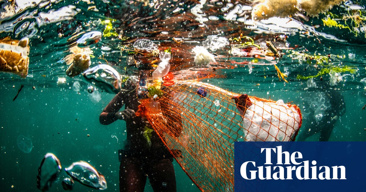 Environmental photographer of the year 2019 winners – in pictures ...
