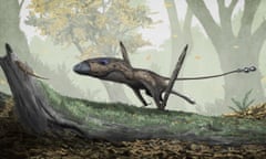Dimorphodon macronyx, a pterosaur from the Jurassic, once thought to be puffin-like. Researchers now know it was a poor flier more likely to forage on the ground.