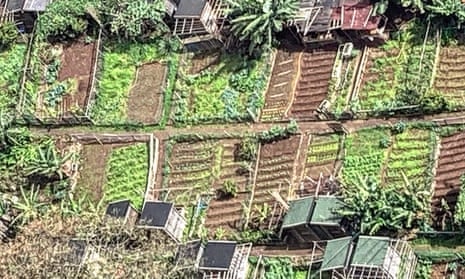 Square visions: ‘We cable car high over a run of allotments and I suffer serious soil envy.’