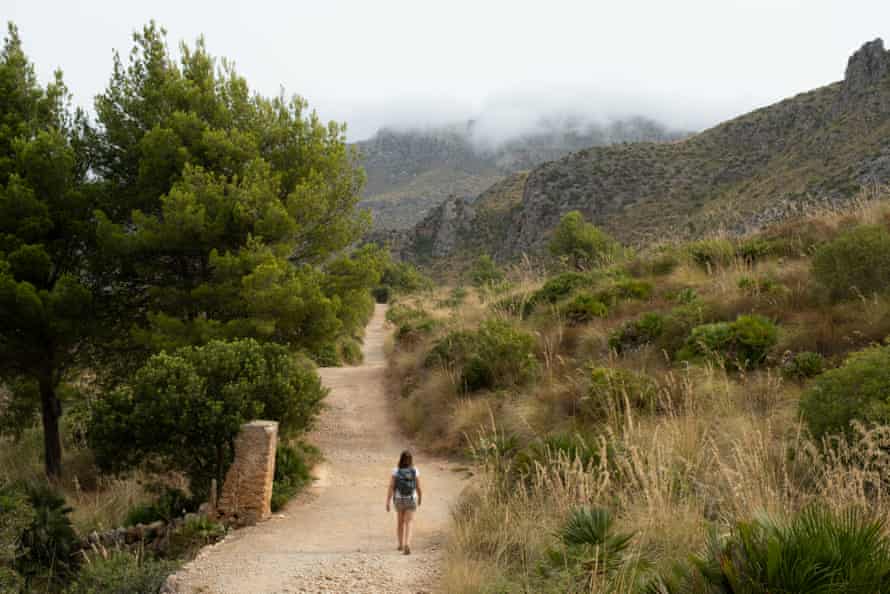 Mallorca’s Avinguda Colon hiking trail
