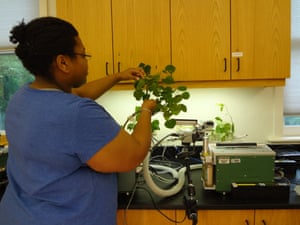 Angelica Patterson studies her samples