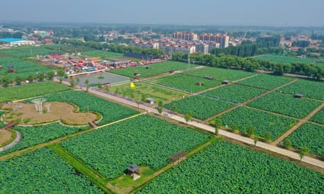 view of fields in Shandong province