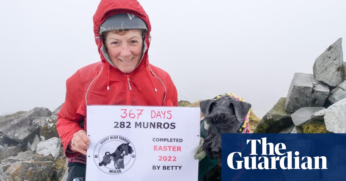Highland hounds take on Scotland’s Munros as mountain hikes rise in popularity