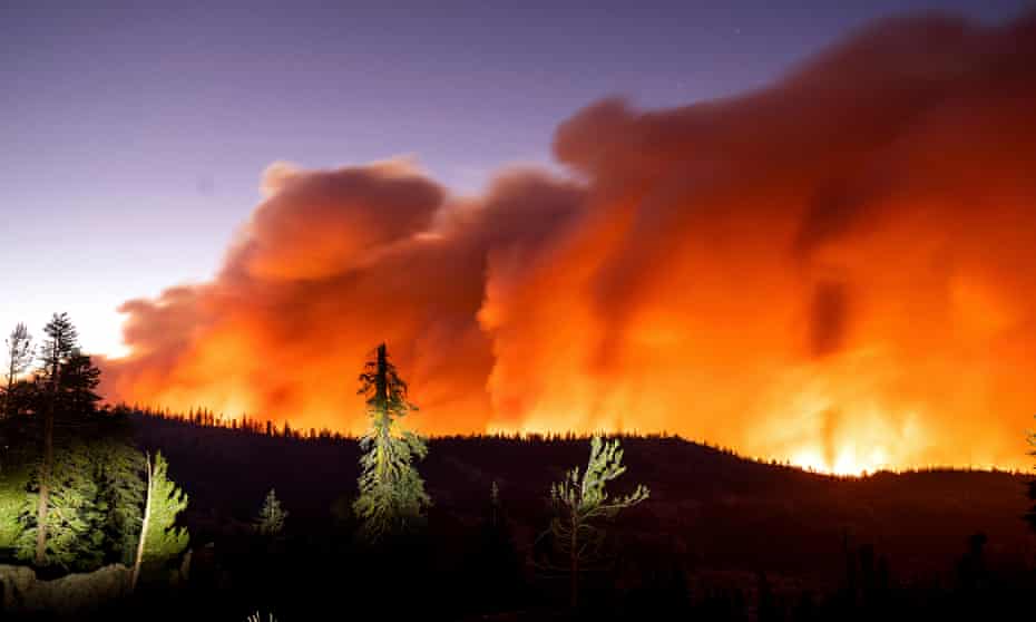A wildfire rips through Eldorado National Forest in California last summer.