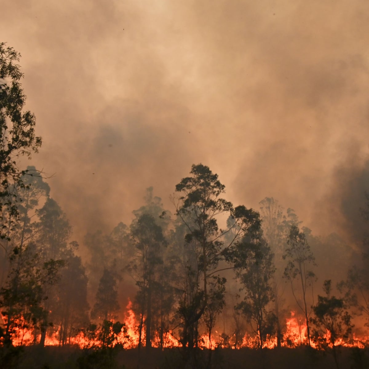 Summer S Bushfires Released More Carbon Dioxide Than Australia Does In A Year Bushfires The Guardian