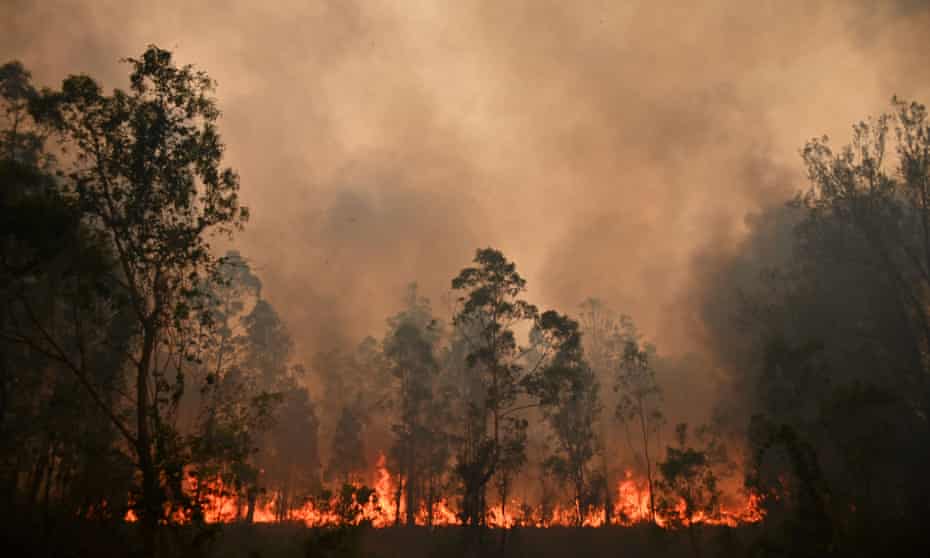 Fires burning NSW bushland