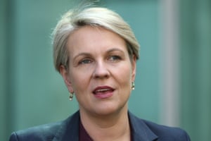Tanya Plibersek