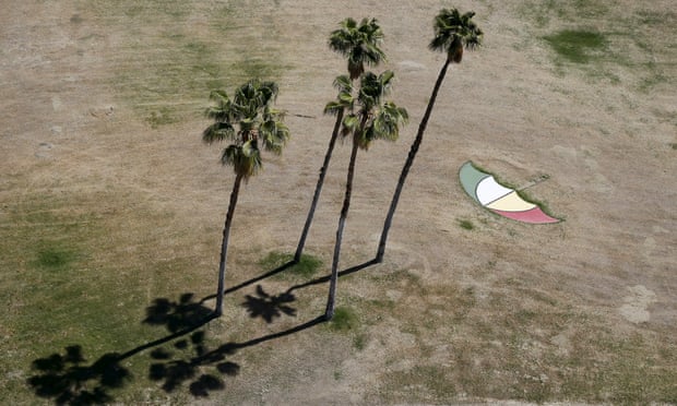 An umbrella painted on dry grass