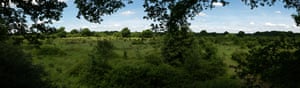 There are a few viewpoints up in the trees from which a broader vista can be seen.