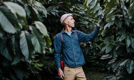 Michael Judd looking at the leaf of a tree