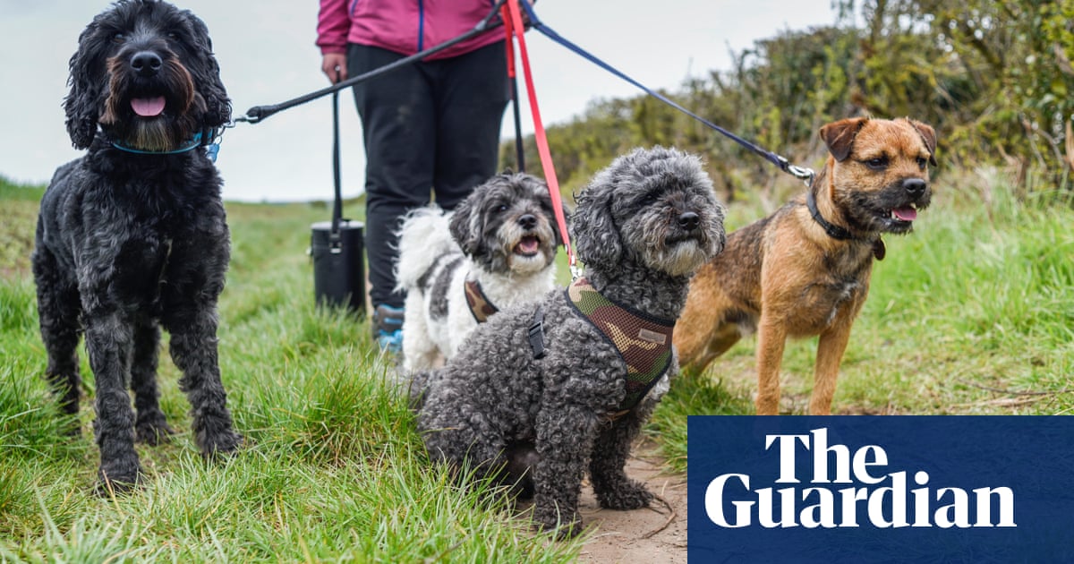 Pet dogs have extensive and multifarious' impact on environment, new research finds