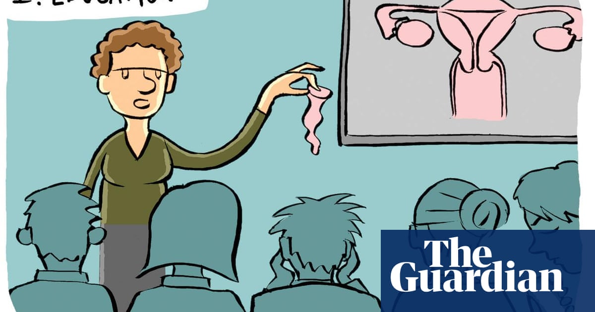 The real reasons for the fall in teen pregnancy – cartoon | Pregnancy | The  Guardian