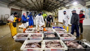 Lancashire, UK: Market manager Alastair Ewen conducts an auction of fish brought in at the docks in Fleetwood. The introduction of new checks and paperwork since the end of the Brexit transition period has caused huge disruption to the sector