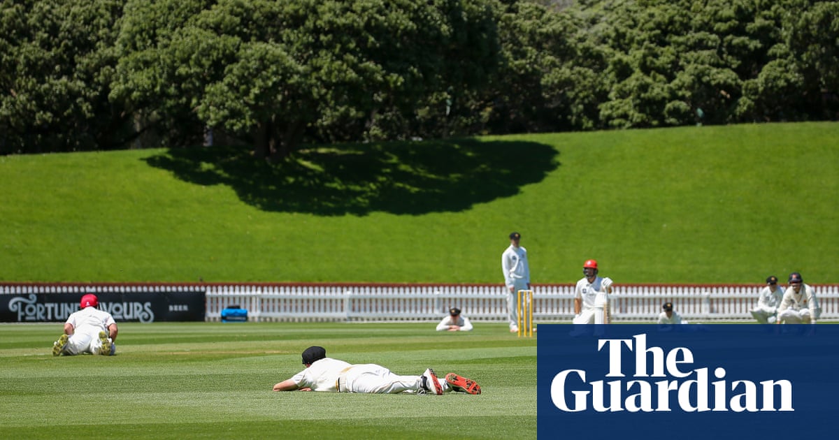 ‘We saw everyone drop’: bee swarm stops play in New Zealand cricket match