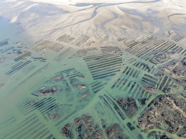 An abstract landscapes depicts oyster farming on the French coast of Normandy and Brittany
