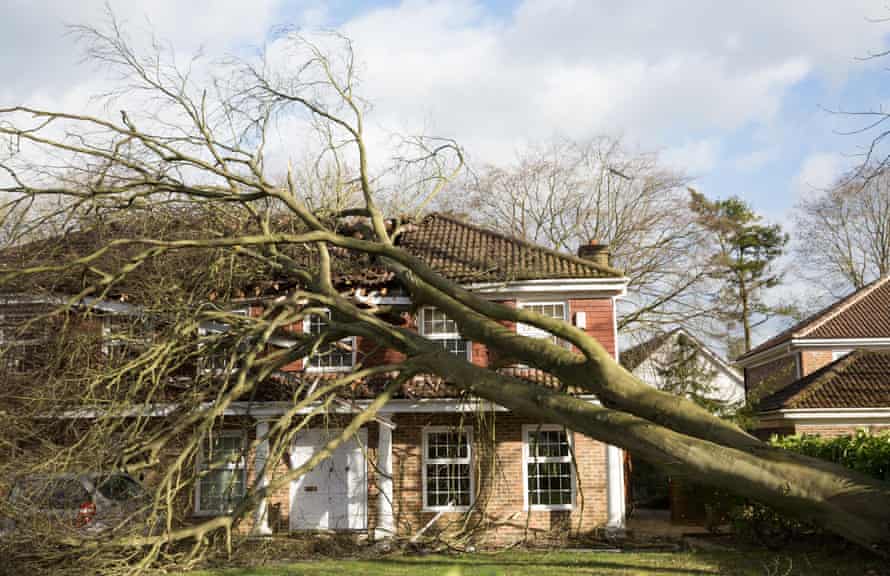 A UK house damaged by a tree during Storm Doris in 2017.