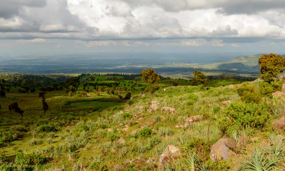Bale mountains, Ethiopian highlands
