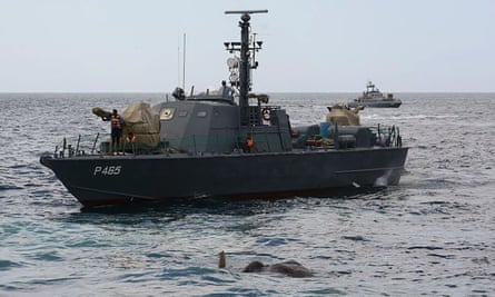 Mammoth effort: Sri Lankan navy rescues two elephants washed out to sea | Animals | The Guardian