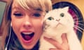 Taylor Swift holds white cat