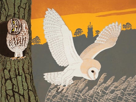 Robert Gillmor’s cover for Owls, 2014, written by Mike Toms, for the Collins New Naturalist book series.