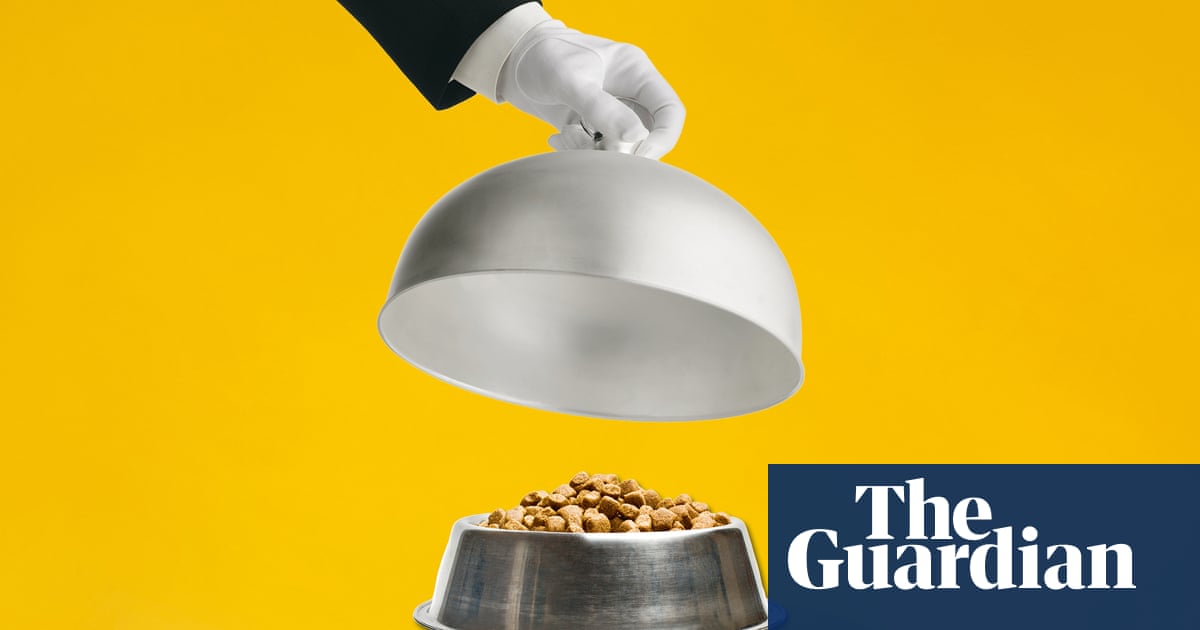 Making a dog's dinner: vets and canine experts on the most eco and affordable ways to feed your pooch