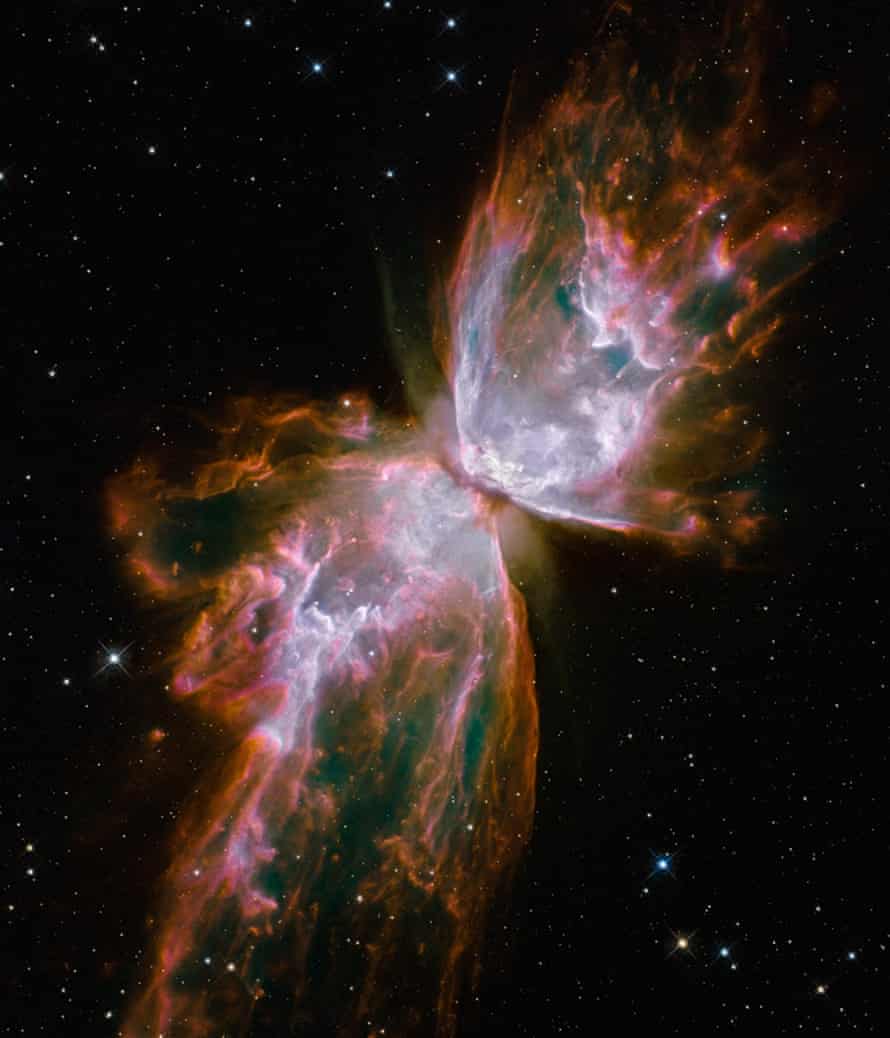 A vast cloud of gas that looks like a delicate butterfly