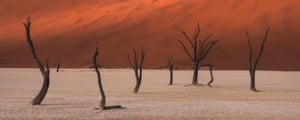 Silent Soldiers: Deadvlei, Namibia