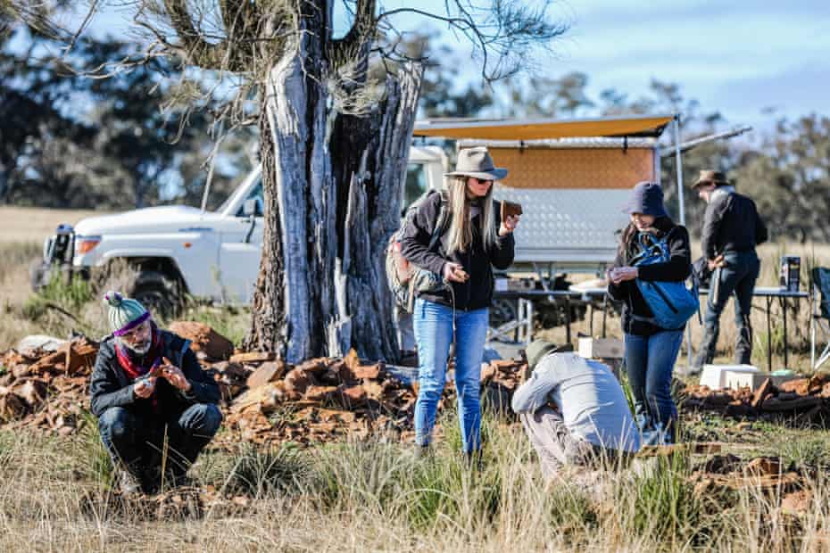 Zespół badawczy szuka skamieniałości owadów na stanowisku w McGraths Flat, NSW, Australia