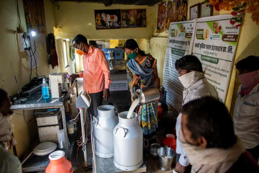 A women’s group member, Mahadevi Chand Jadhav, checks milk for quality and fat content at Lakshmi Dairy in Karajgaon