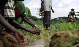 Ethiopia has recently joined AFR100, a country-led effort to bring 100m hectares of land in Africa into restoration by 2030. Now, it is looking to the private sector for help to achieve its goal.