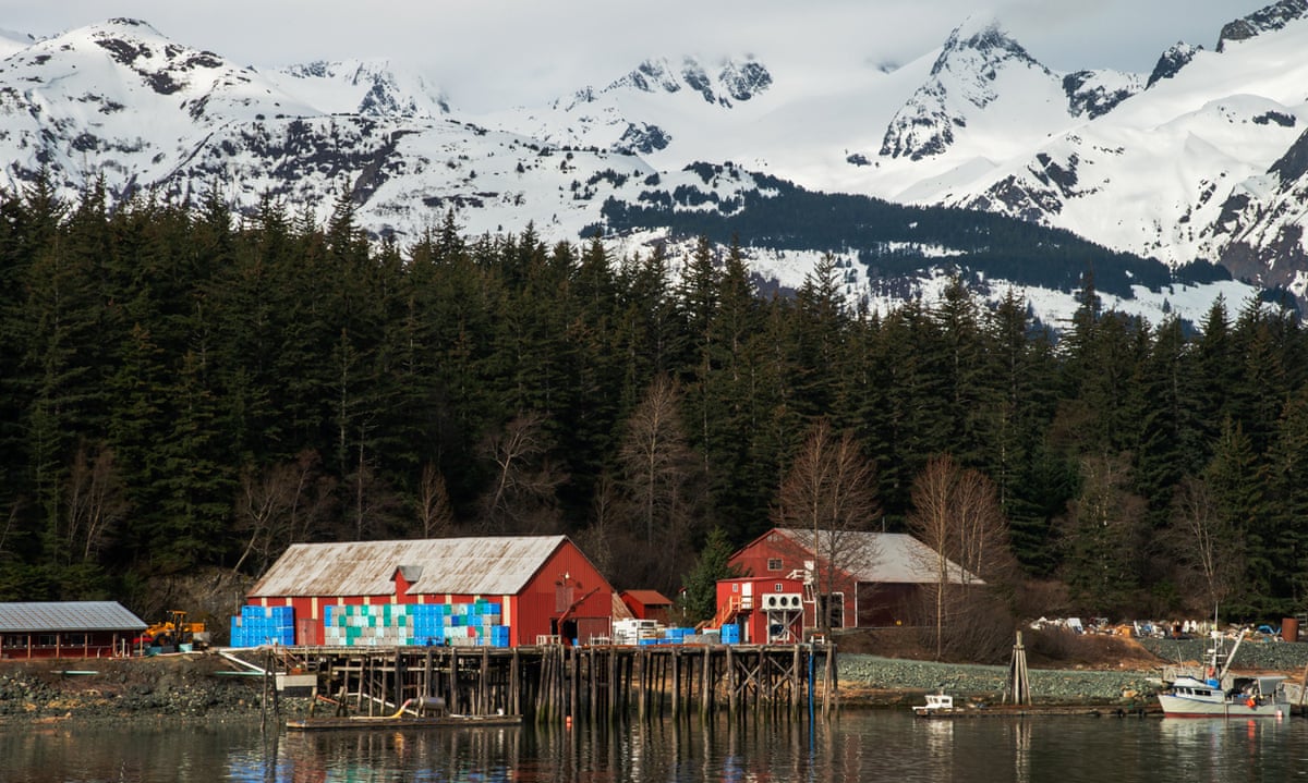 A Tiny Alaska Town Is Split Over A Goldmine At Stake Is A Way Of Life Alaska The Guardian A Tiny Alaska Town Is Split Over A Goldmine At Stake Is A Way Of Life Alaska The Guardian